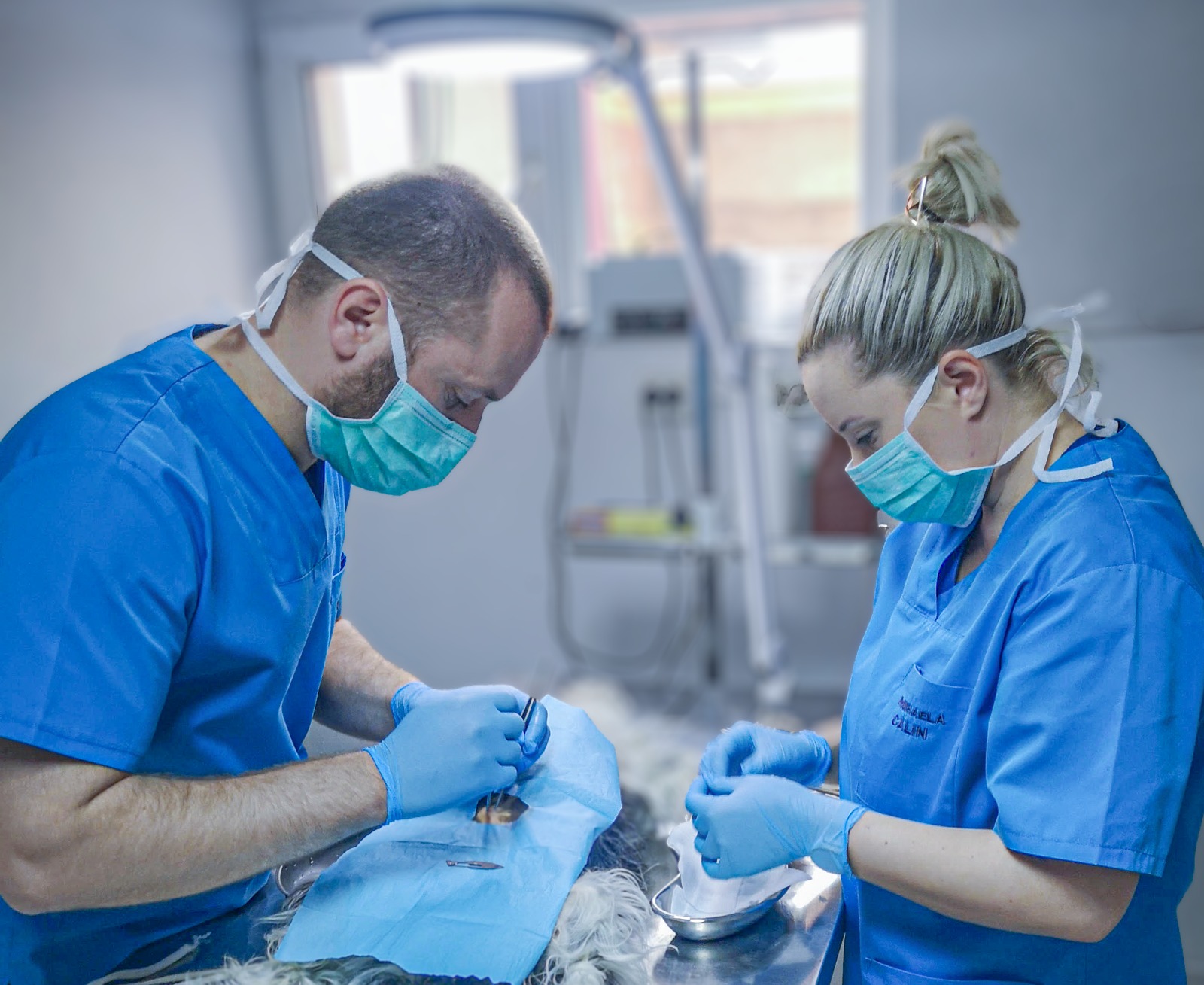 Medicii veterinari Petrișor Ghenea și Mihaela Călin