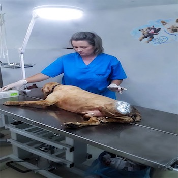 Mihaela Calin Operatie